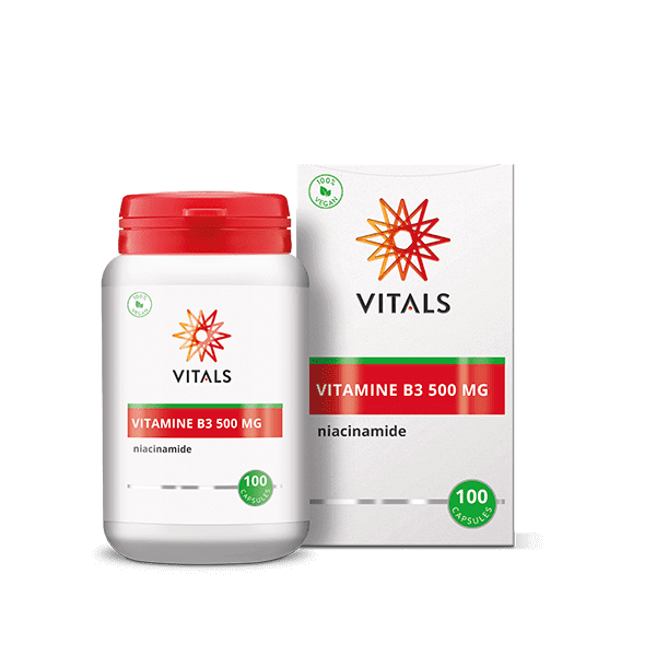 Vitamine B3 (Niacinamide) 500 mg 100 capsules