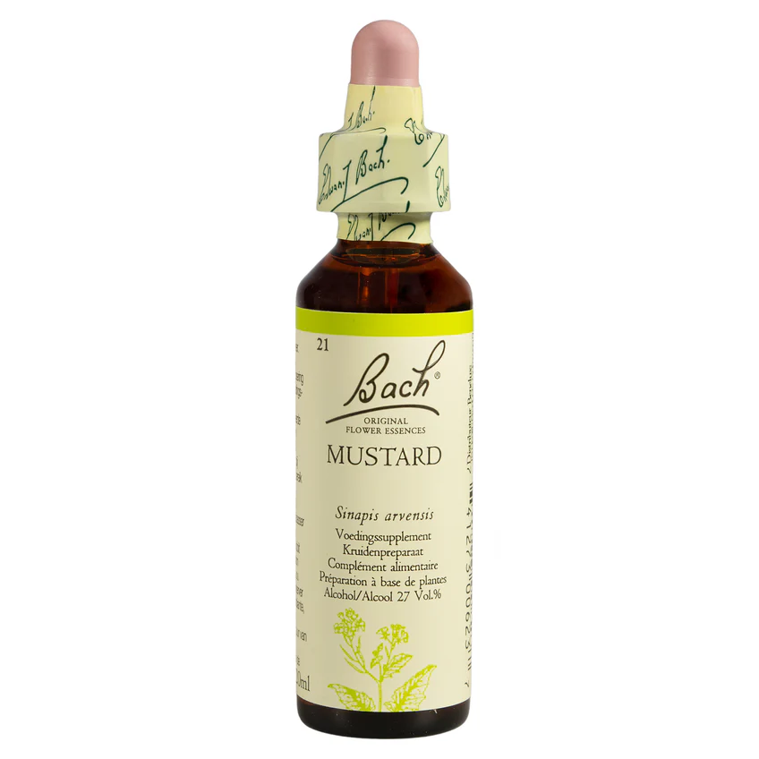 Bachbloesem Mustard nr. 21
