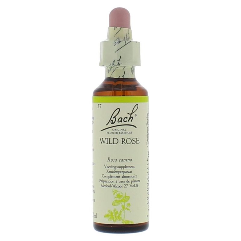 Bachbloesem Wild rose nr. 37