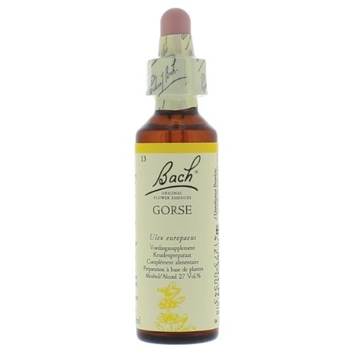 Bachbloesem Gorse nr. 13