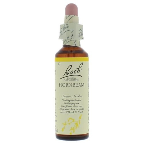 Bachbloesem Hornbeam nr. 17