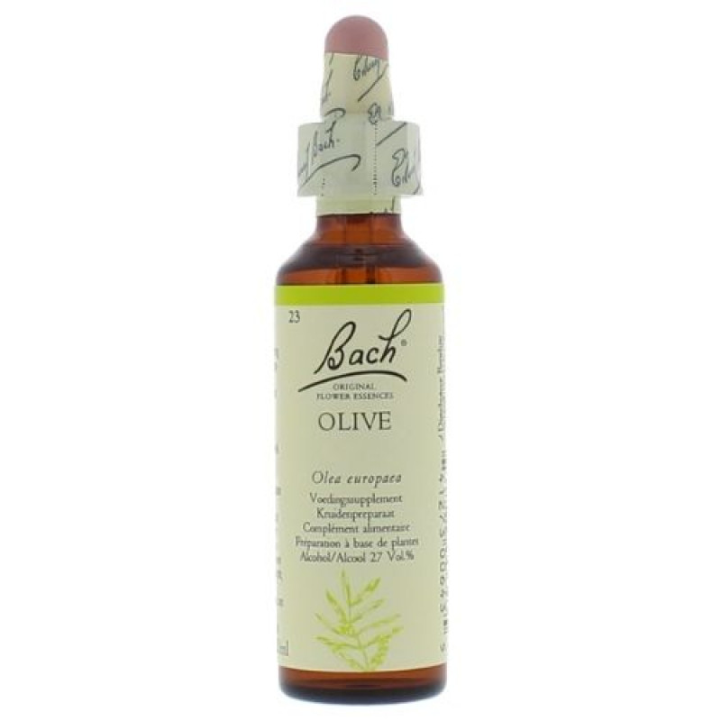 Bachbloesem Olive nr. 23