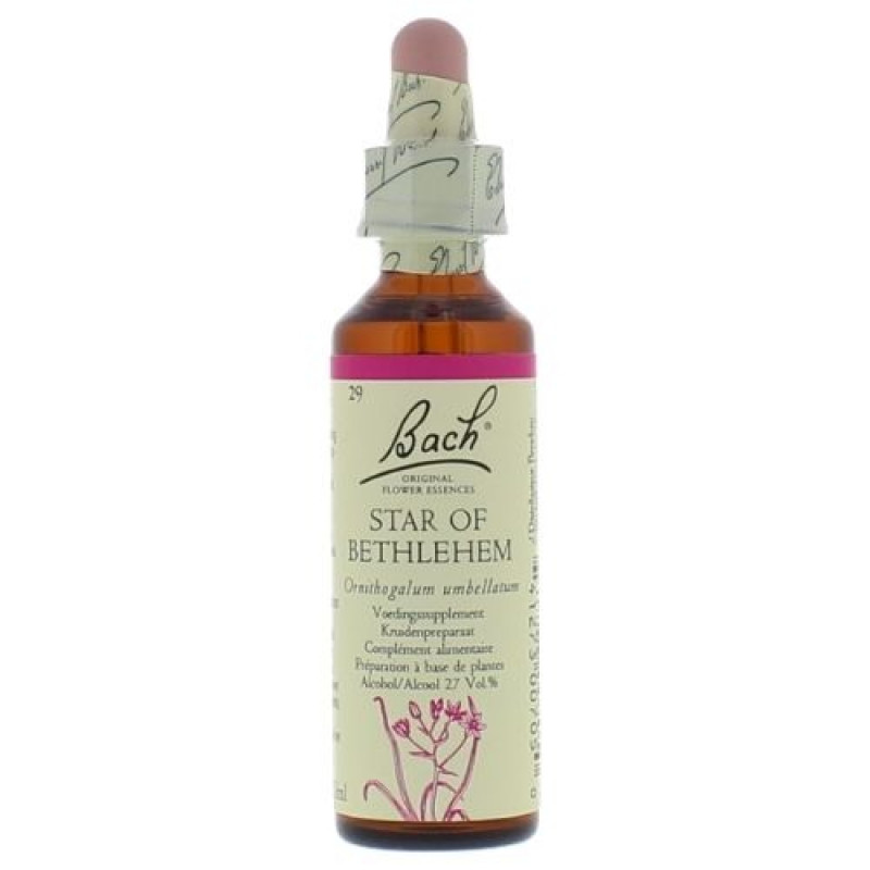 Bachbloesem Star of Bethlehem nr. 29