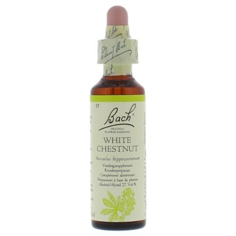 Bachbloesem White Chestnut nr. 35