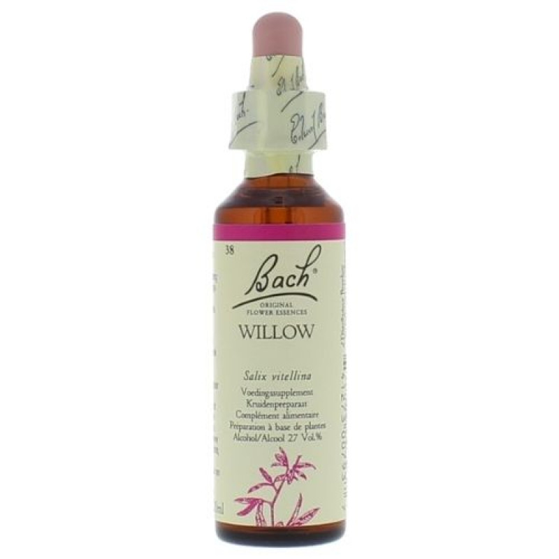 Bachbloesem Willow nr. 38